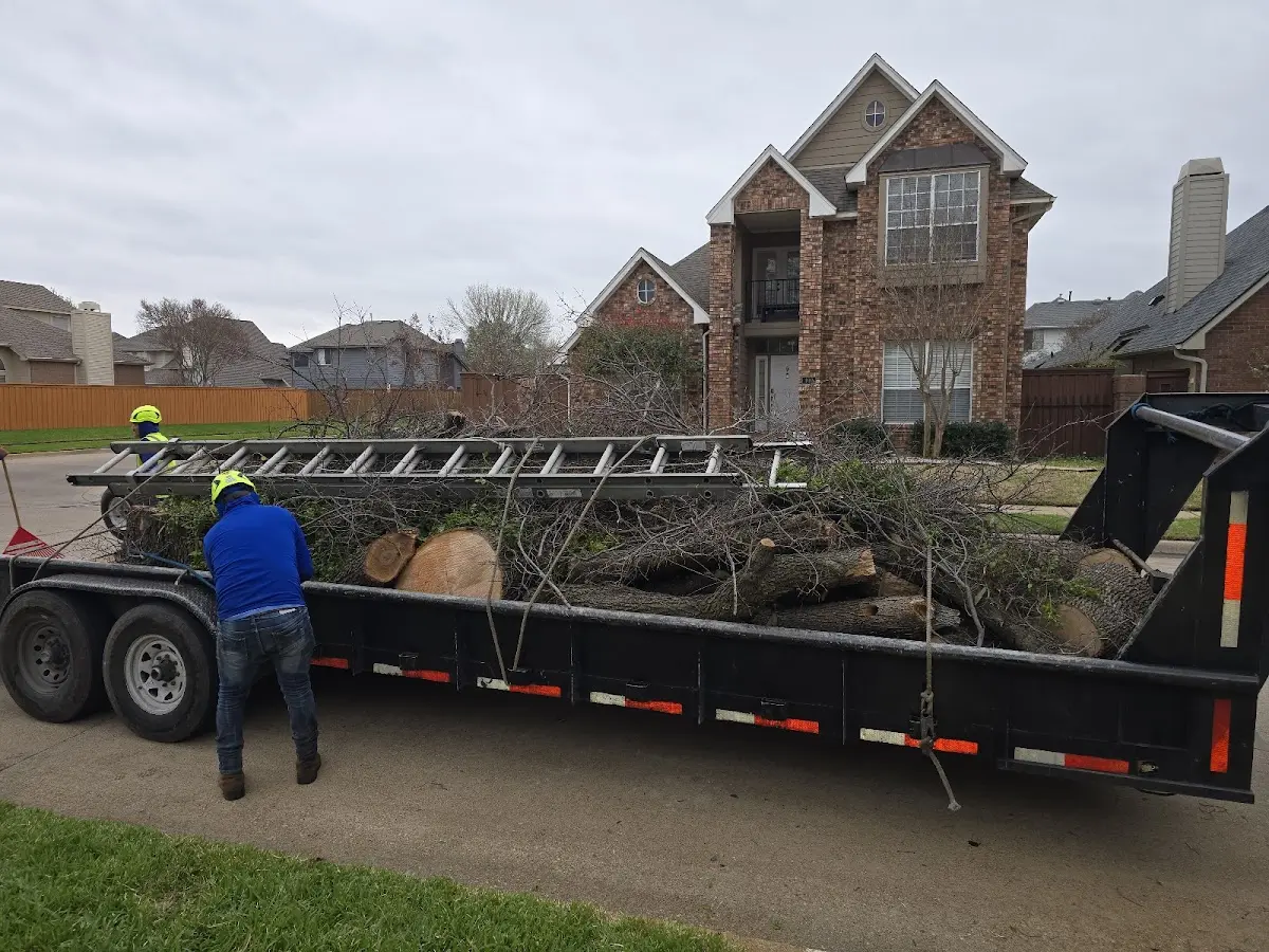Expert Tree Fertilization with proper safety equipment in Caliente